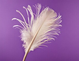 White ostrich feather with fluffy texture tenderly flying over violet studio background. Grace and simplicity. Ai generated images