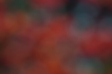 Defocused Colorful Abstract Blur Background