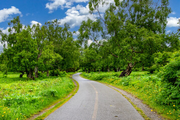 Kincaid Park Anchorage Alaska