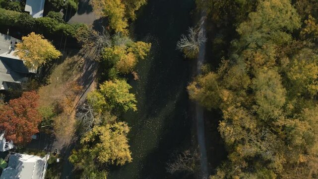 Aerial view of Fall foliage along a peaceful river, drone 4K