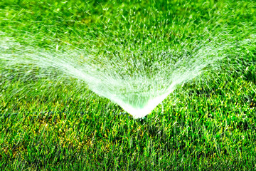 Sprinkler in Grass Yard Spraying Water Drops Drips Irrigation