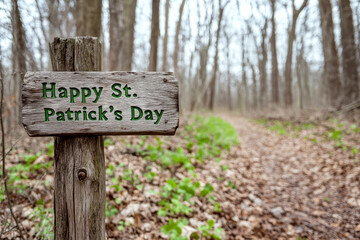 Wooden post in a forest with sign reading "Happy St. Patrick's Day" in green text. Concept of festive celebration in nature.