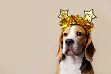 Happy New Year and Merry Christmas 2025 greeting card with a pet. A beagle dog with a headband with...