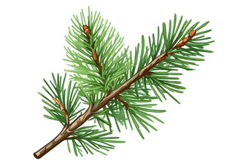 Pine tree branch with green needles cartoon illustration. Fresh coniferous twig hand-drawn vector illustration isolated on white background. Perfect for holiday cards and festive designs