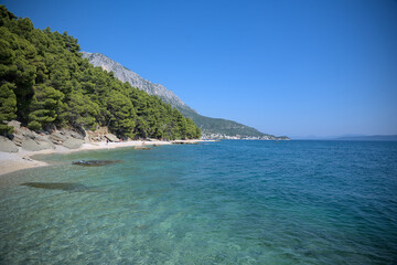 Coastal beach with clear turquoise water, pine trees, and mountains in the background.