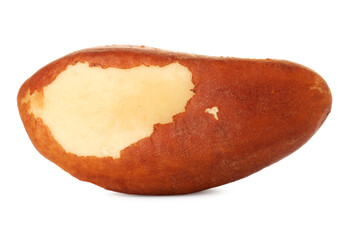 One tasty Brazil nut isolated on white