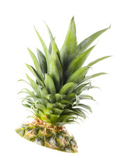 Fototapeta premium Crown of ripe pineapple isolated on white