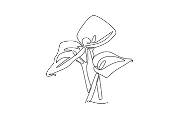 Single one line drawing beauty fresh zantedeschia for home wall decor print. Printable decorative arum lily flower for greeting card ornament. Continuous line draw design graphic vector illustration