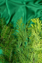 Evergreen natural background with green silk for christmas winter greeting