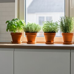 Minimalist kitchen with fresh herbs growing in small pots on the windowsil