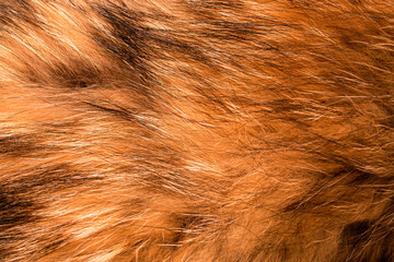 Burnt orange natural fur. Textured background. Slow fashion