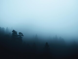 Obraz premium Mysterious forest enveloped in fog and mist, creating an eerie atmosphere, tranquil, gloomy