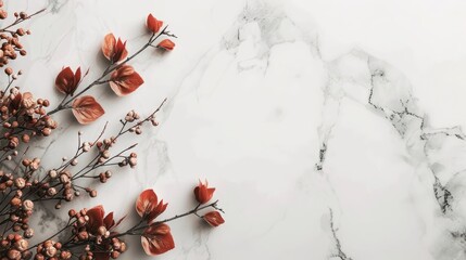 Copy space on a white marble backdrop.
