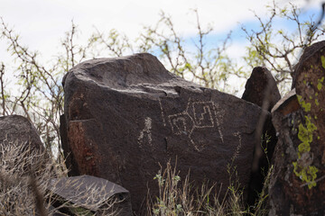Petroglyphs at Three Rivers Petroglyph Site, New Mexico