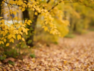 A sea of fallen leaves in warm tones against a creamy white background, golden leaves, soft focus