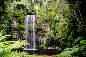 A vintage photo of a waterfall