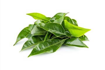 Obraz premium Fresh green tea leaves isolated on white background