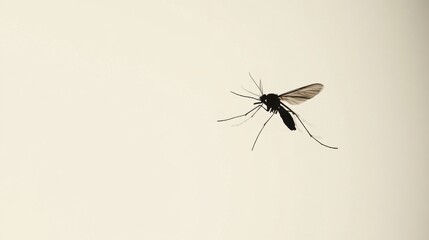 Close-Up Image of a Single Mosquito Flying Against a Soft Neutral Background, Capturing the Intricate Details of Its Body and Wings in a Studio Setting