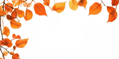 Autumn-themed background with leaves and branches creating a circular border.