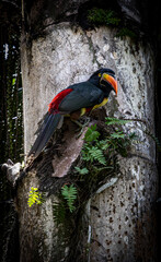 En la naturaleza todo es posible