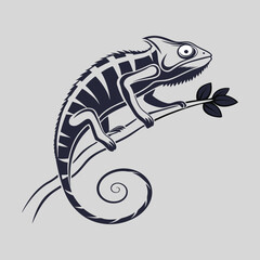 chameleon silhouette vector art and illustration