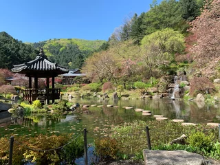 Fototapete Rund The Garden of Morning Calm © Jiazhen
