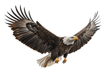 Fototapeta premium Majestic eagle soaring in the sky, cut out - stock png.