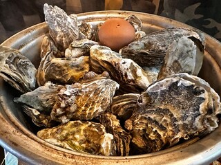 Oysters