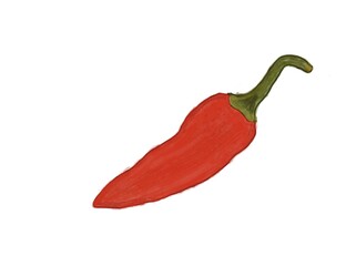 Red chili pepper, hand drawn illustration.  Vibrant red chili pepper illustration. Hand drawn red chili pepper. Isolated.  White background.  Food illustration.