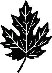 Maple Leaf Silhouette Vector Art