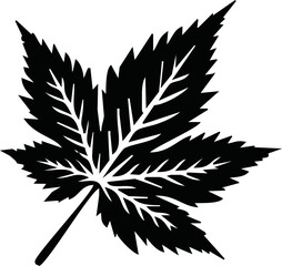 Maple Leaf Silhouette Vector Art