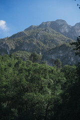 Naturaleza mexicana, en La Estanzuale Monterrey
