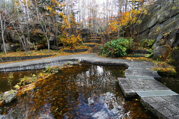 Obraz premium 晩秋の滝野すずらん公園