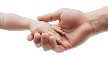 Adult and infant hands connect tenderly, cut out - stock png.