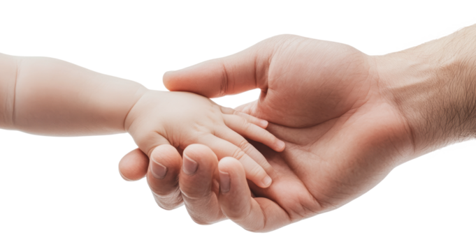 Adult and infant hands connect tenderly, cut out - stock png.