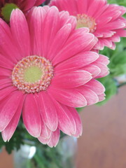Jarrón de vidrio con gerberas rosadas