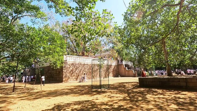 Jaya Sri Maha Bodhiya