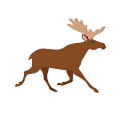 Vector flat hand drawn running moose isolated on white background