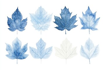 Obraz premium a collection of blue watercolor leaves showcasing various shapes and sizes