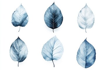Obraz premium a collection of artistic blue leaves showcasing intricate details and textures