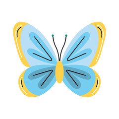 Butterfly Vector Illustration