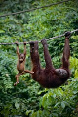 mother and baby son © Jane