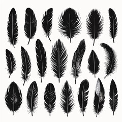 Set of bird feather black silhouettes. Plumelet collection. Vector of black feather, isolated on white background  .