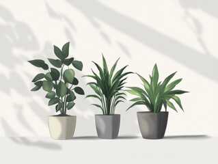 Fototapeta premium three potted plants in modern pots with soft shadows