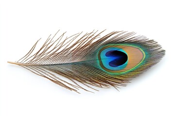 Obraz premium Excellent quality peacock feather isolated on a white backdrop. Generative Ai