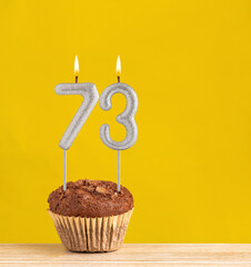 Chocolate cupcake with number 73 candle - Birthday on a yellow background.