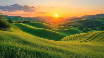 Obraz premium Golden Hour Sunset over Rolling Green Hills