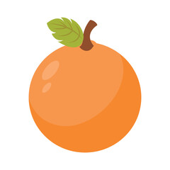 Orange Vector Illustration