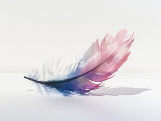 Obraz premium colorful feather on a white background for creative design