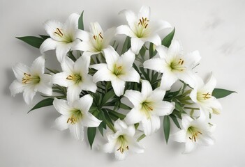 Top view of white lilies lying flat on white surface, composition, zen, top view